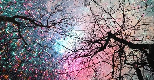 nye fireworks in prospect park